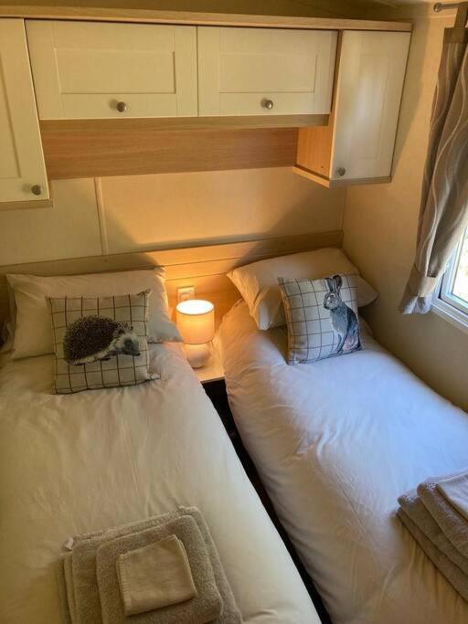 Red Squirrel Holiday Home In The Countryside, 10 Mins To Lligwy Beach Llandyfrydog Buitenkant foto