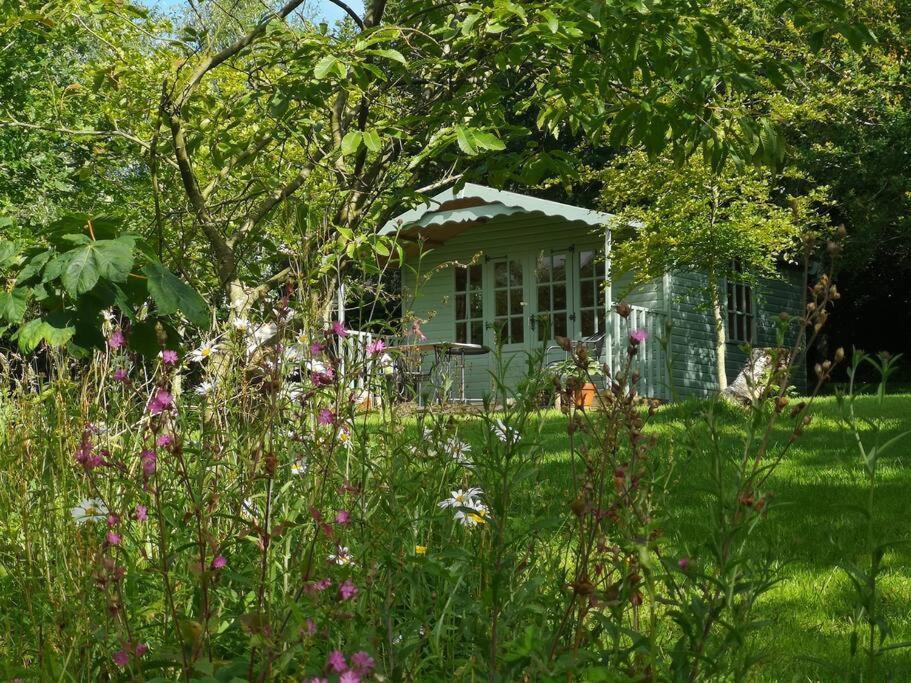 Red Squirrel Holiday Home In The Countryside, 10 Mins To Lligwy Beach Llandyfrydog Buitenkant foto